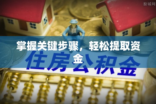 宝安掌握关键步骤，轻松提取资金
