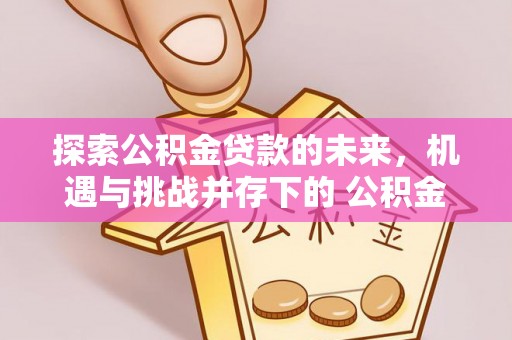 宝安探索公积金贷款的未来，机遇与挑战并存下的 公积金贷款风险防控