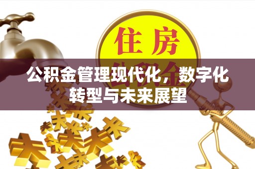 宝安公积金管理现代化，数字化转型与未来展望