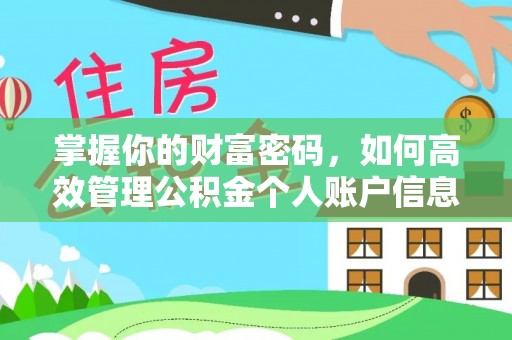 宝安掌握你的财富密码，如何高效管理公积金个人账户信息