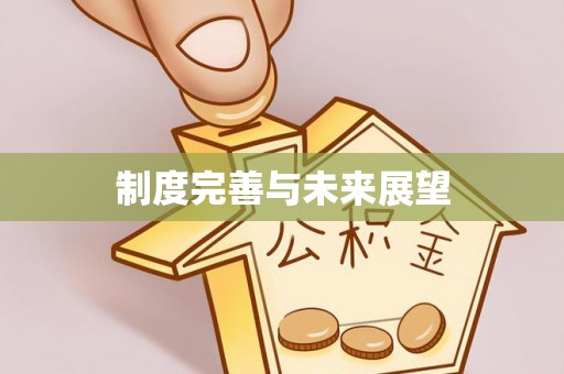 宝安制度完善与未来展望