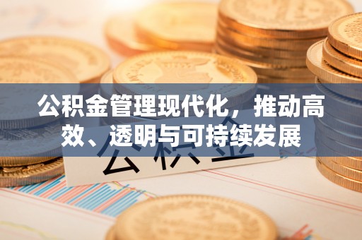 宝安公积金管理现代化，推动高效、透明与可持续发展