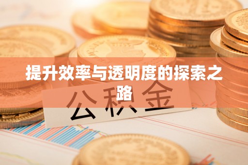 宝安提升效率与透明度的探索之路