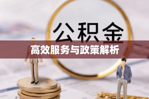 宝安高效服务与政策解析