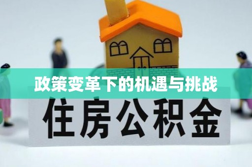宝安政策变革下的机遇与挑战