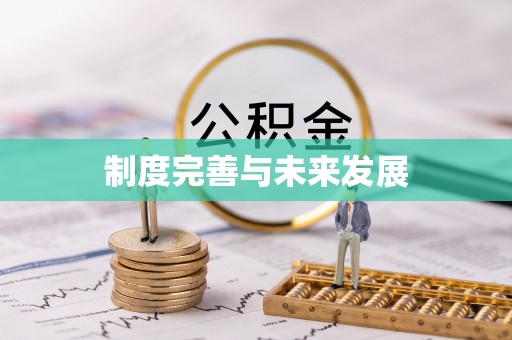 宝安制度完善与未来发展