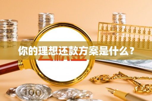 宝安你的理想还款方案是什么？