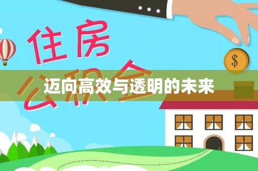 宝安迈向高效与透明的未来