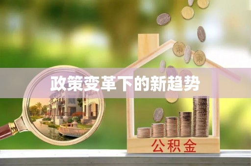 宝安政策变革下的新趋势