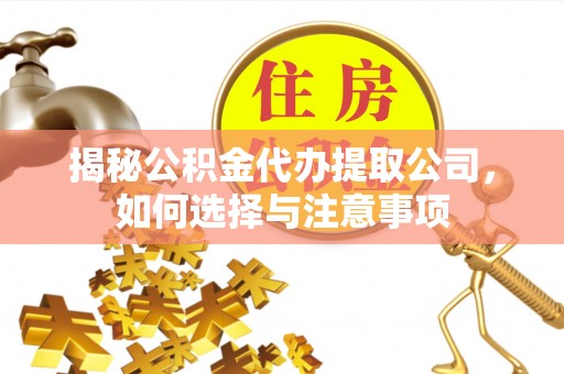 宝安揭秘公积金代办提取公司，如何选择与注意事项