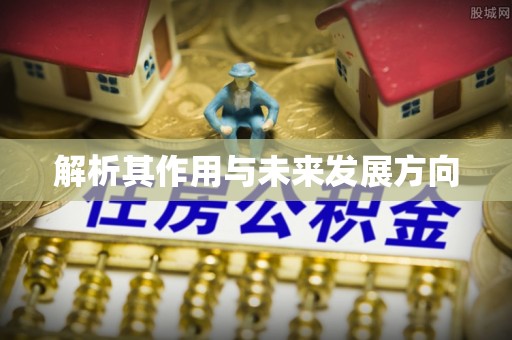 宝安解析其作用与未来发展方向